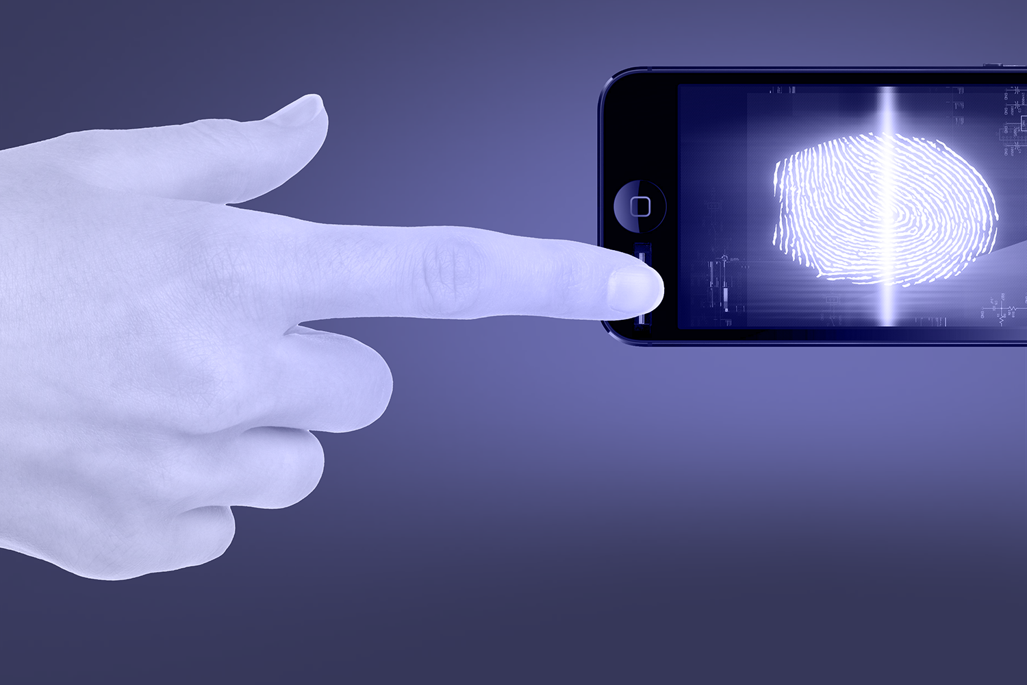 bloomberg fingerprint scanner driver